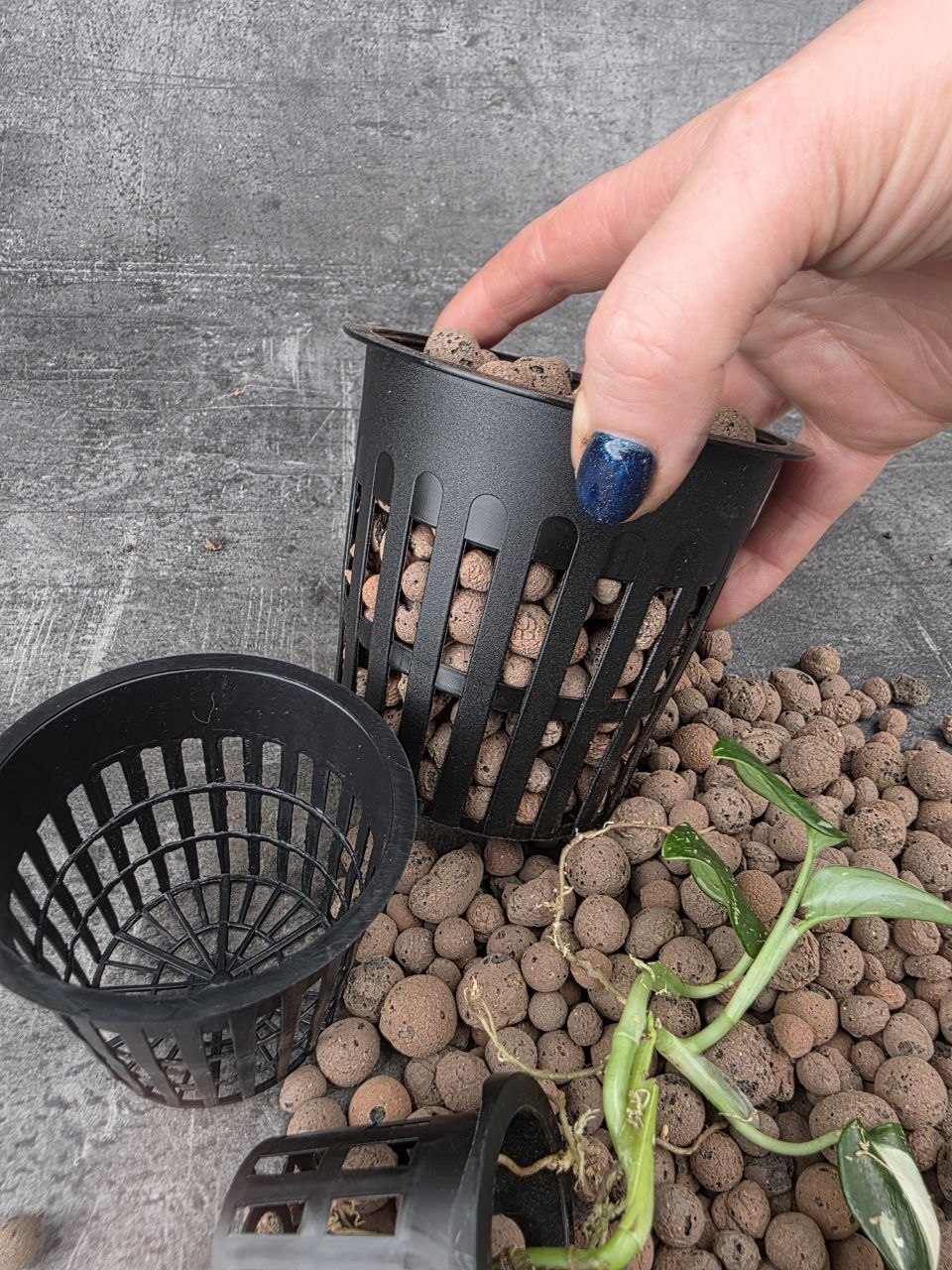 Sázecí květináč na hydroponii průměr 11 cm