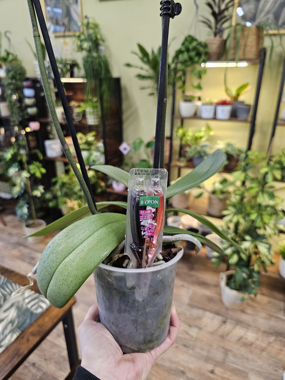 BOPON Elixir na orchideje DUO – aplikátor 35 ml