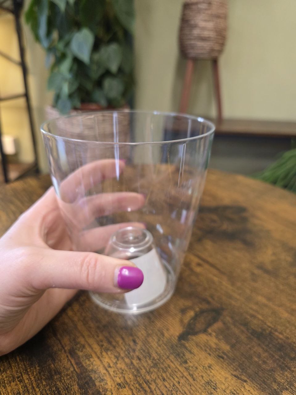 Obal průhledný s drenáží plast 13 cm
