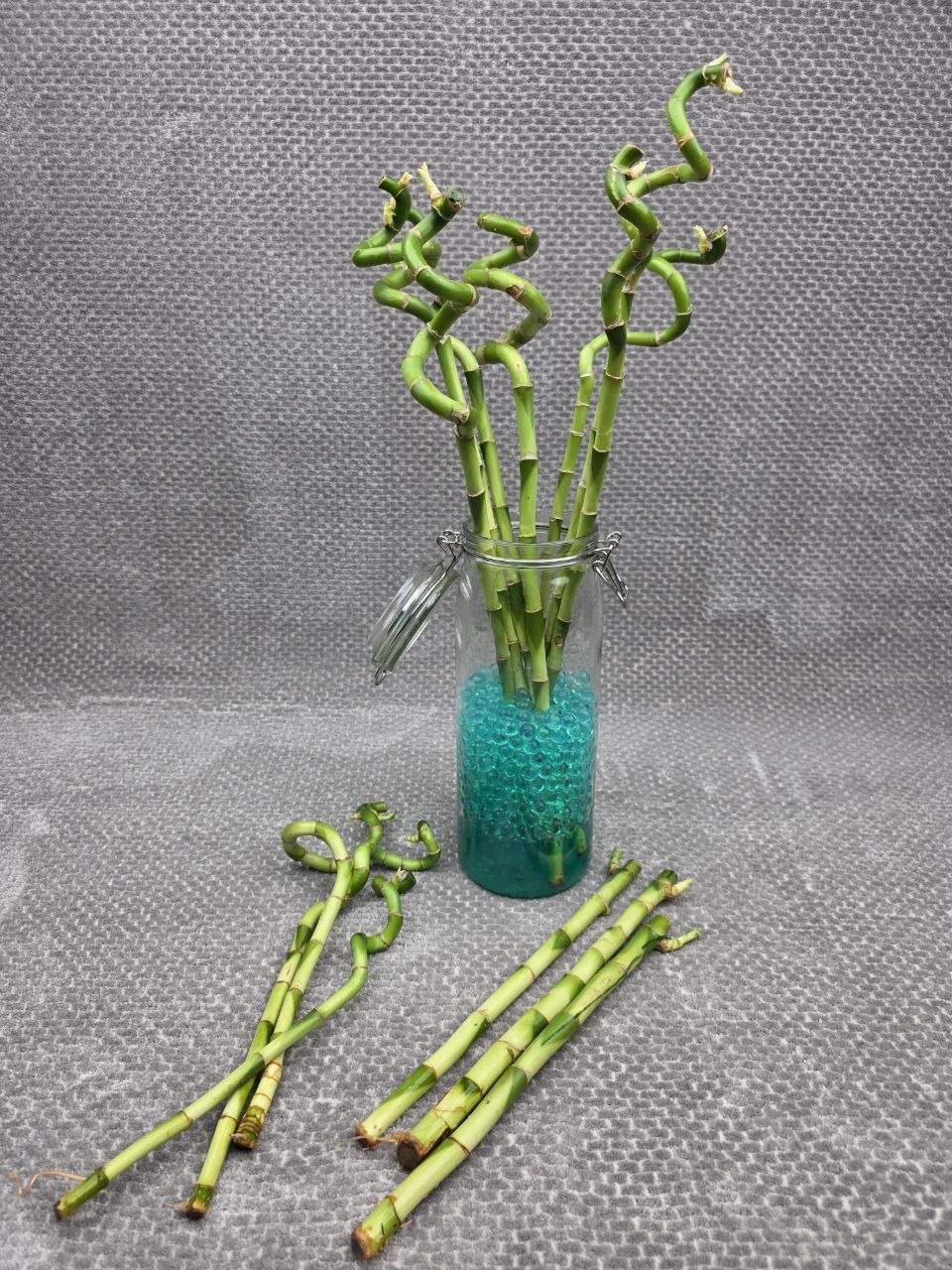 Bambus LUCKY BAMBOO mix | KYTKYshop