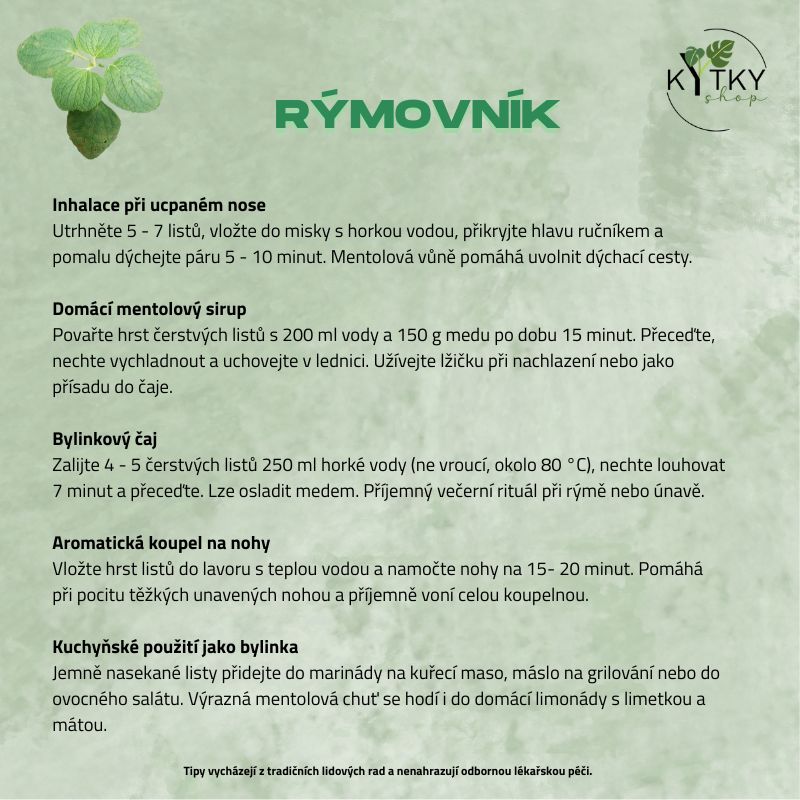 Rýmovník argentinský