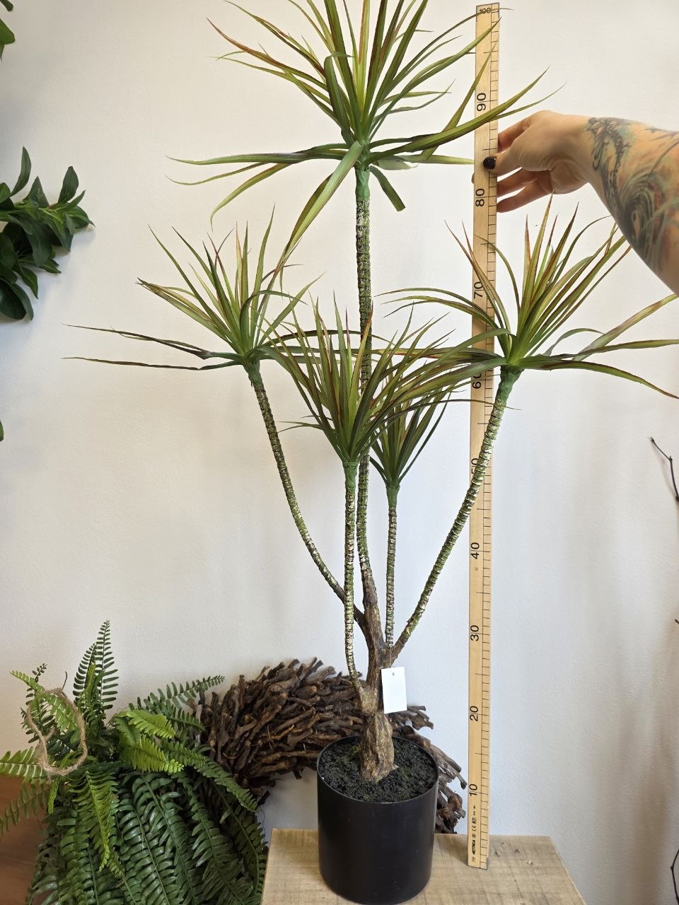 Imitace pokojová rostlina dracaena