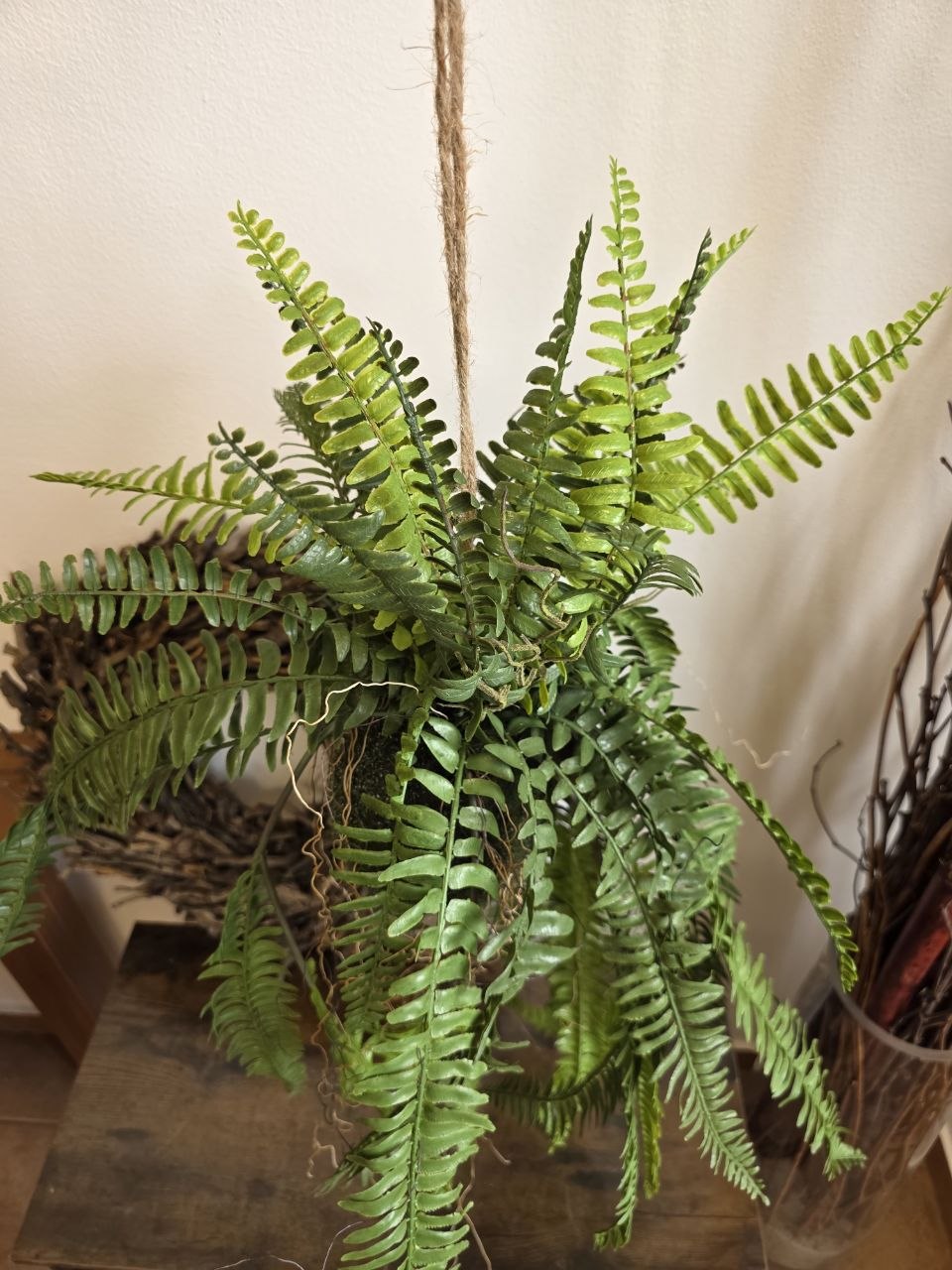 Imitace pokojová rostlina kokedama kapradina