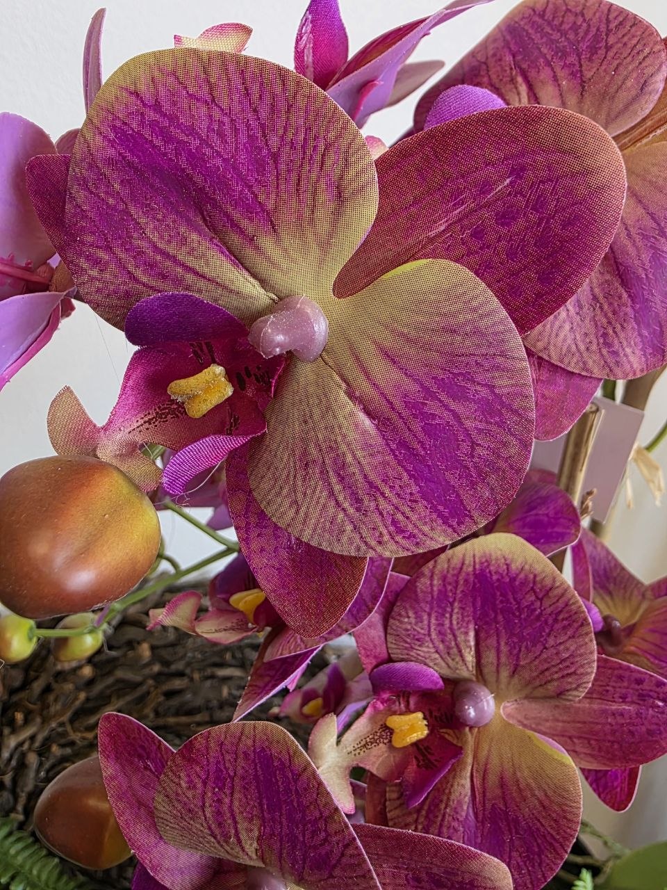 Imitace pokojová rostlina phalaenopsis vínový