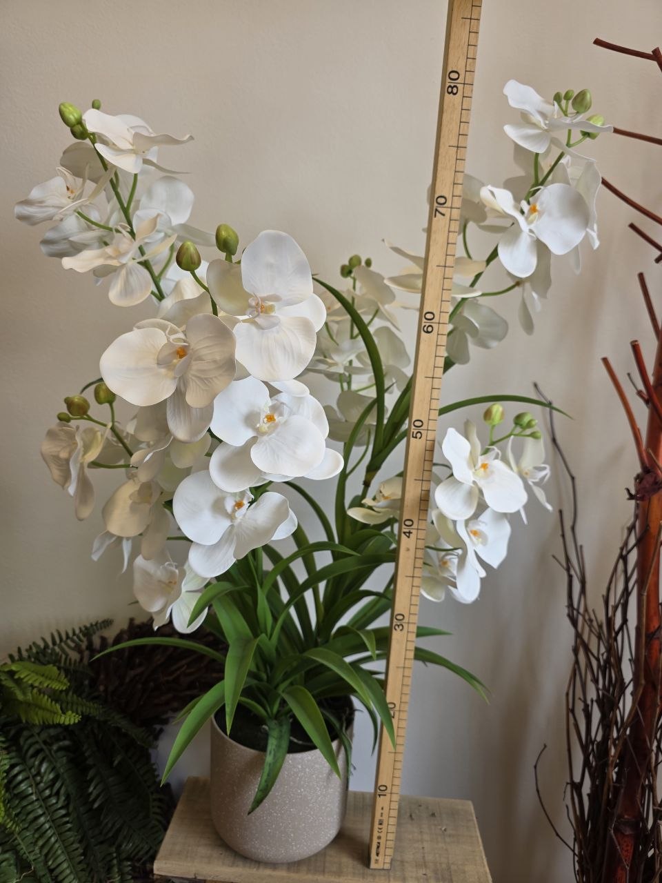 Imitace pokojová rostlina phalaenopsis luxusní