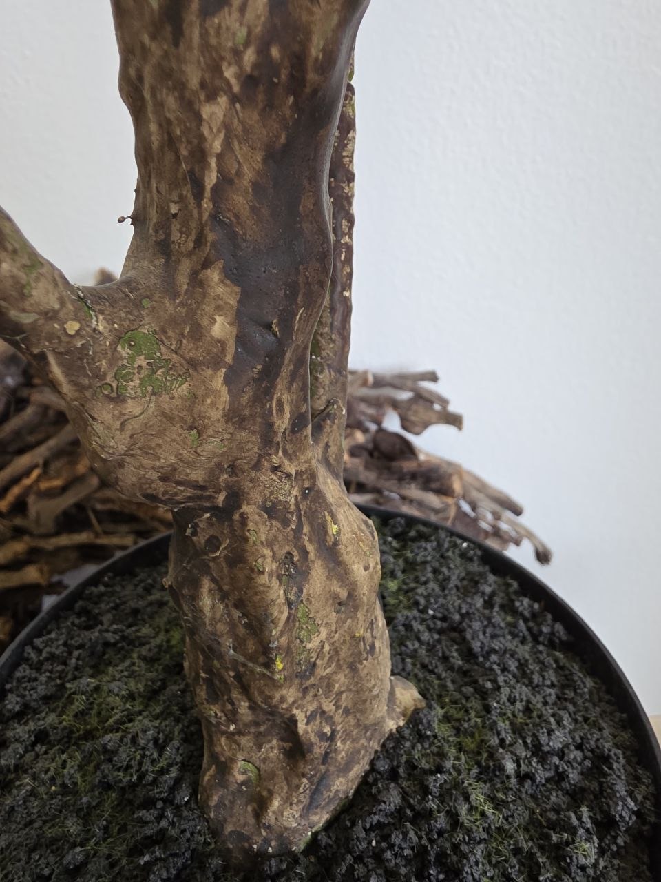 Imitace pokojová rostlina dracaena