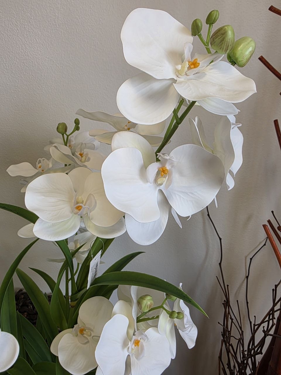 Imitace pokojová rostlina phalaenopsis luxusní