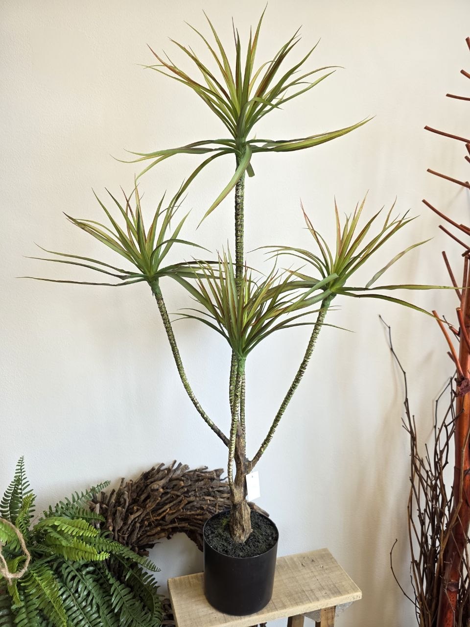 Imitace pokojová rostlina dracaena