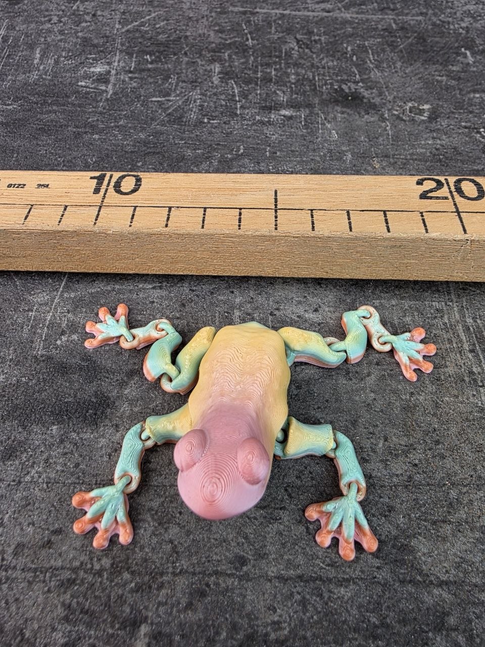 Žába magnetická 3D tisk vícebarevná L