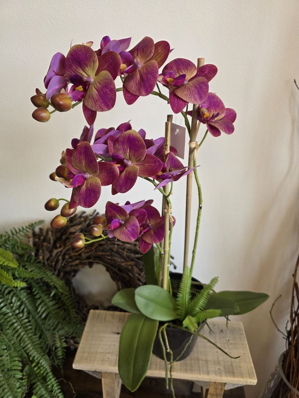 Imitace pokojová rostlina phalaenopsis vínový