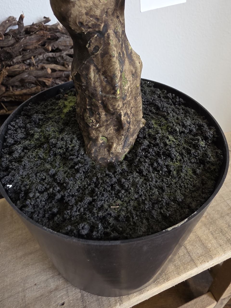 Imitace pokojová rostlina dracaena