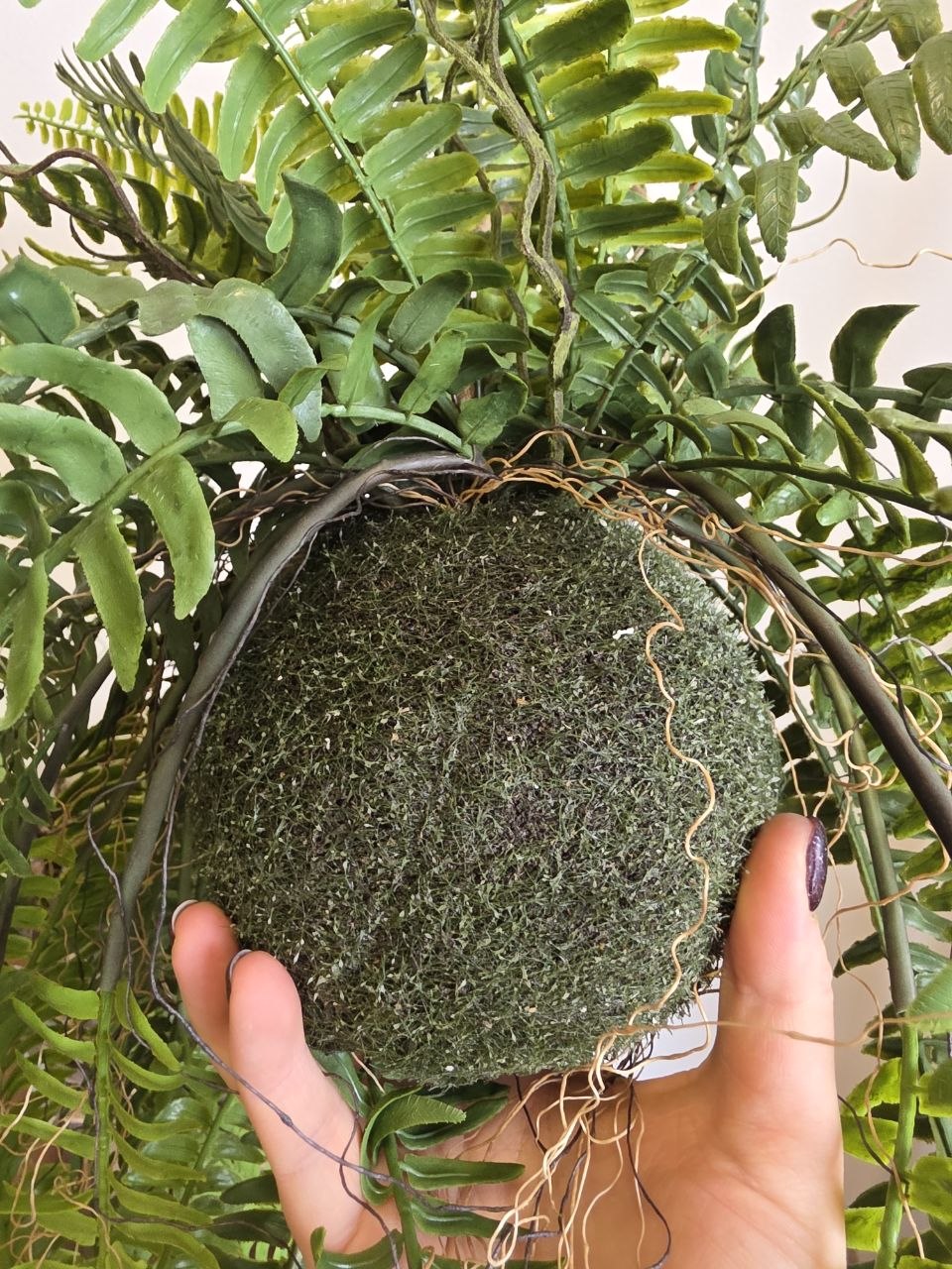 Imitace pokojová rostlina kokedama kapradina