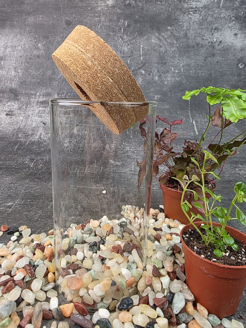 Skleněná nádoba na mechárium s Led solar osvětlením 8x17 cm