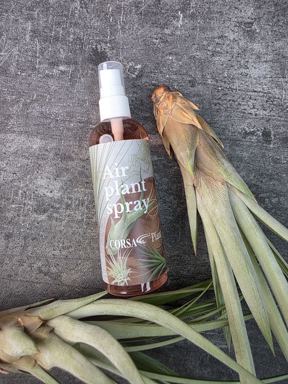Airplant spray, výživa pro tillandsie