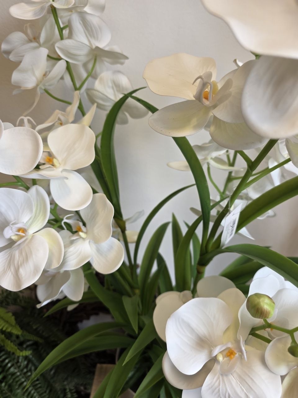 Imitace pokojová rostlina phalaenopsis luxusní