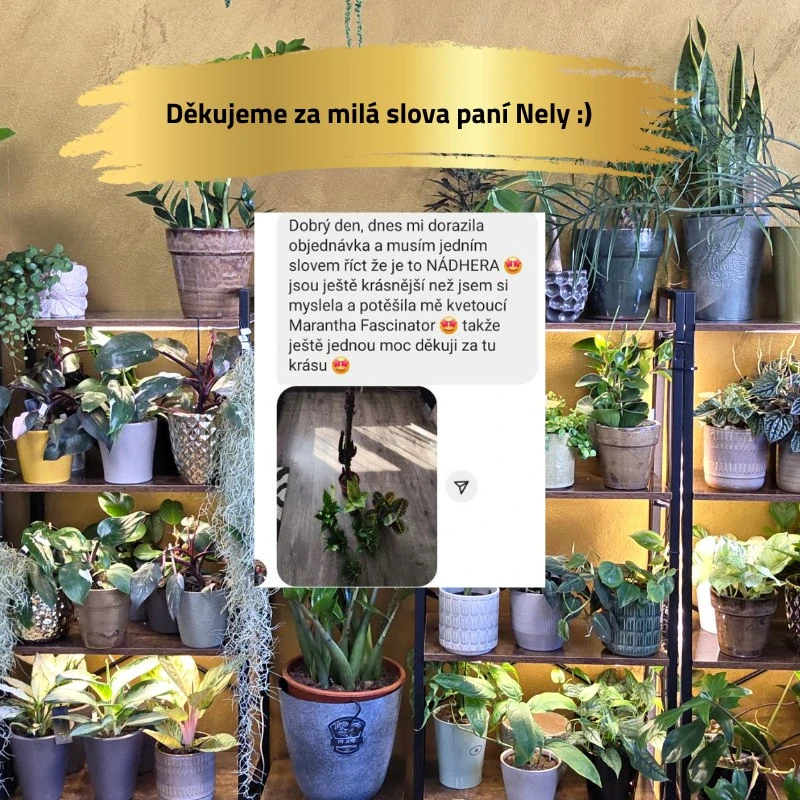 Mechová opora bílá L 40 cm bez výplně