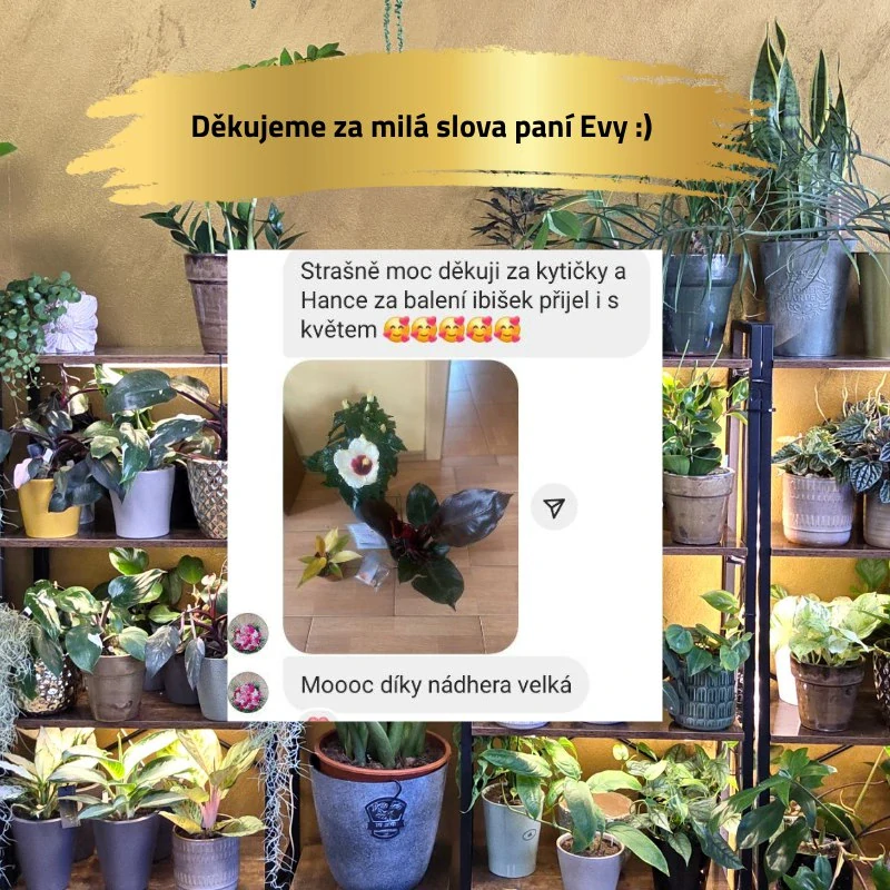 Mechová opora exclusive bílá L 40 cm s mechem a zip páskou
