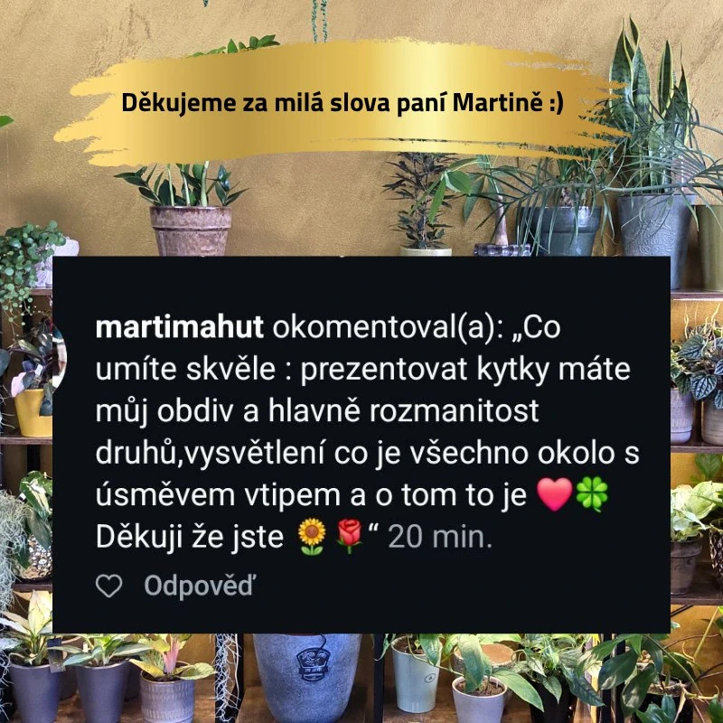 Žebřík úzký XL 105cm
