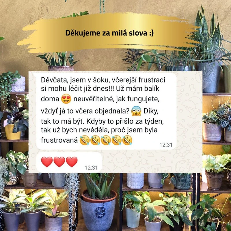 Bambusová tyč 90 cm