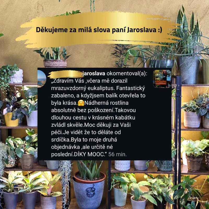 Dávkovací pumpička