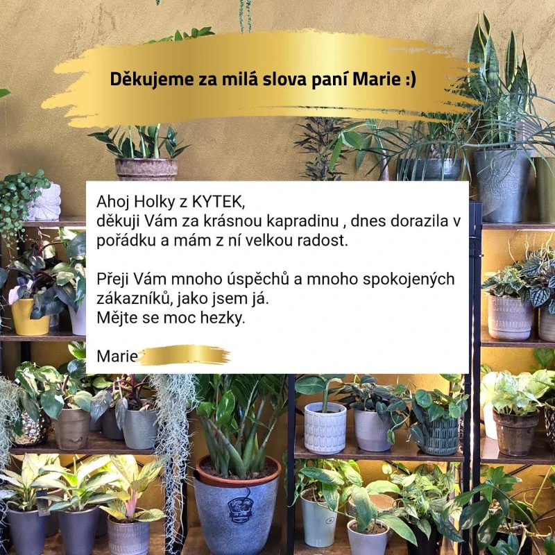 Háček s tyčkou na podpěru stonku L