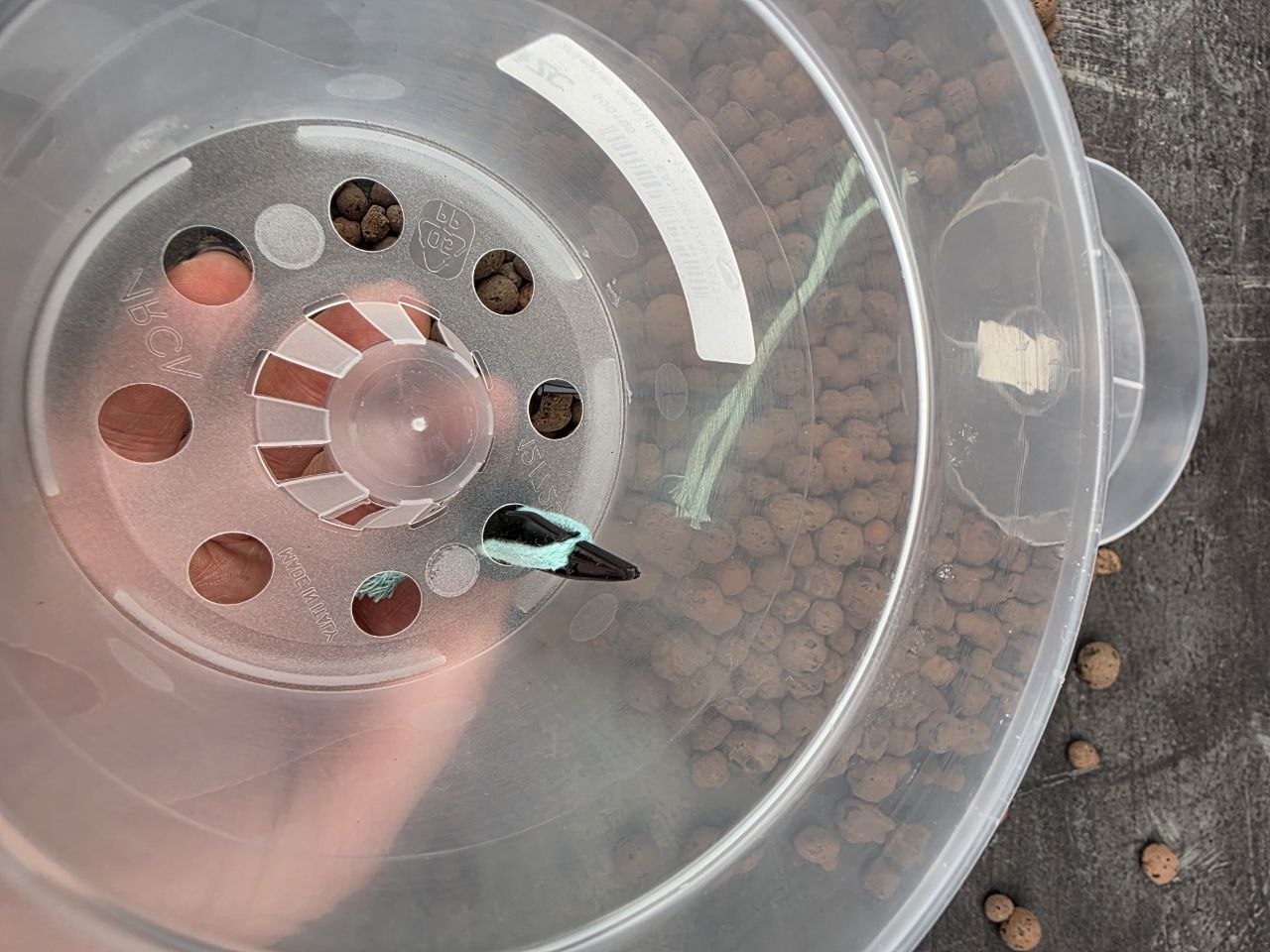 Samozavlažovací kolík s knotem na semihydroponii 3 ks