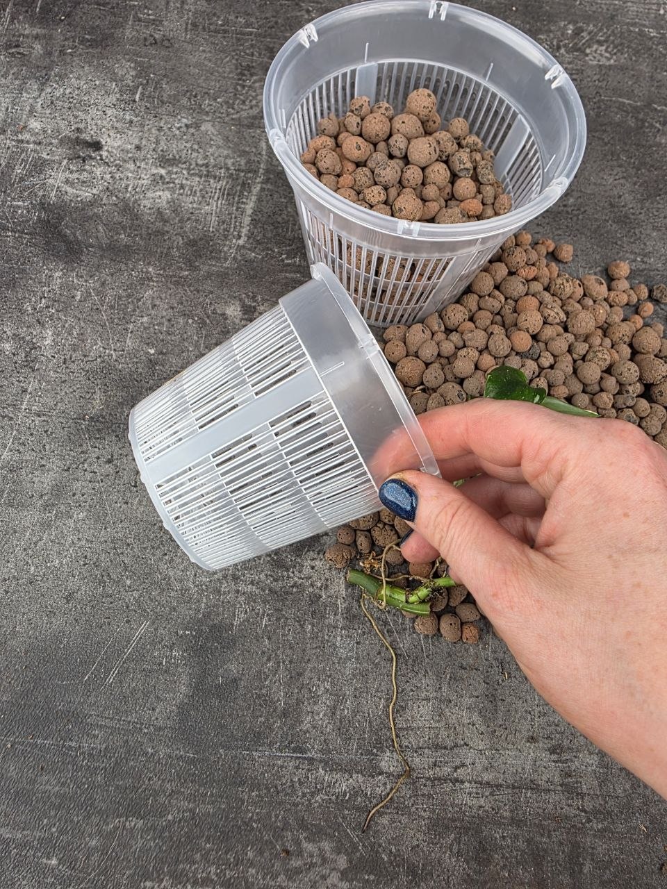 Sázecí průhledný květináč na semihydroponii 11 cm