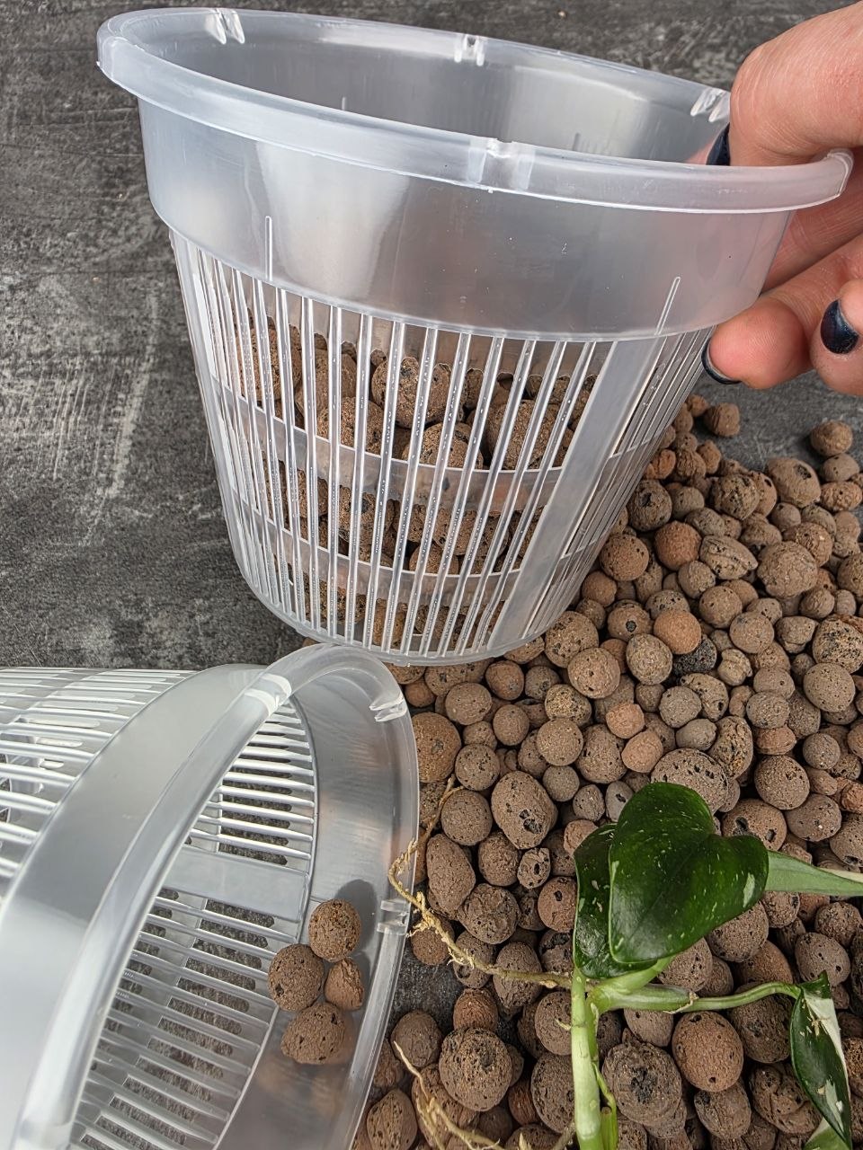Sázecí průhledný květináč na semihydroponii 11 cm