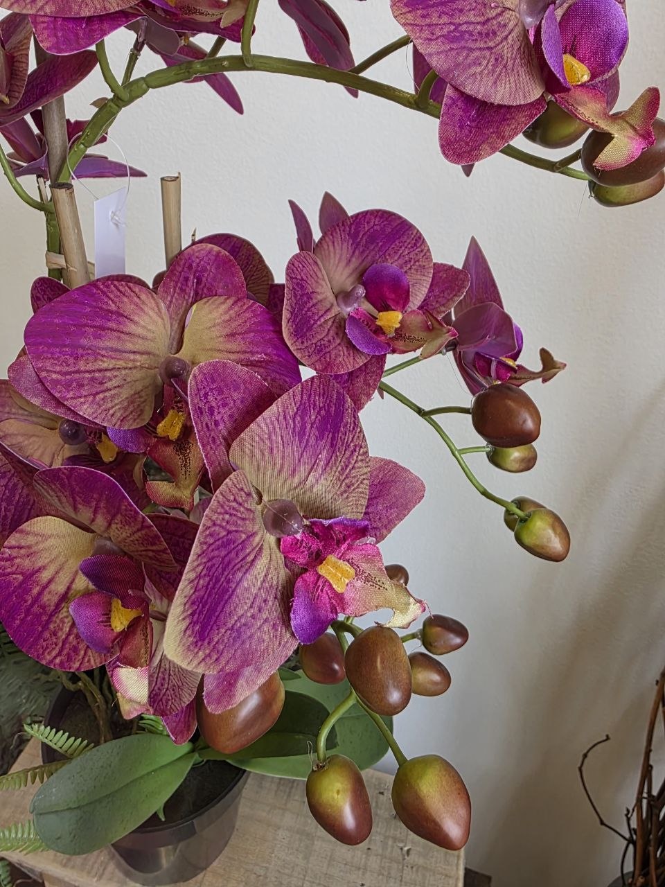 Imitace pokojová rostlina phalaenopsis vínový