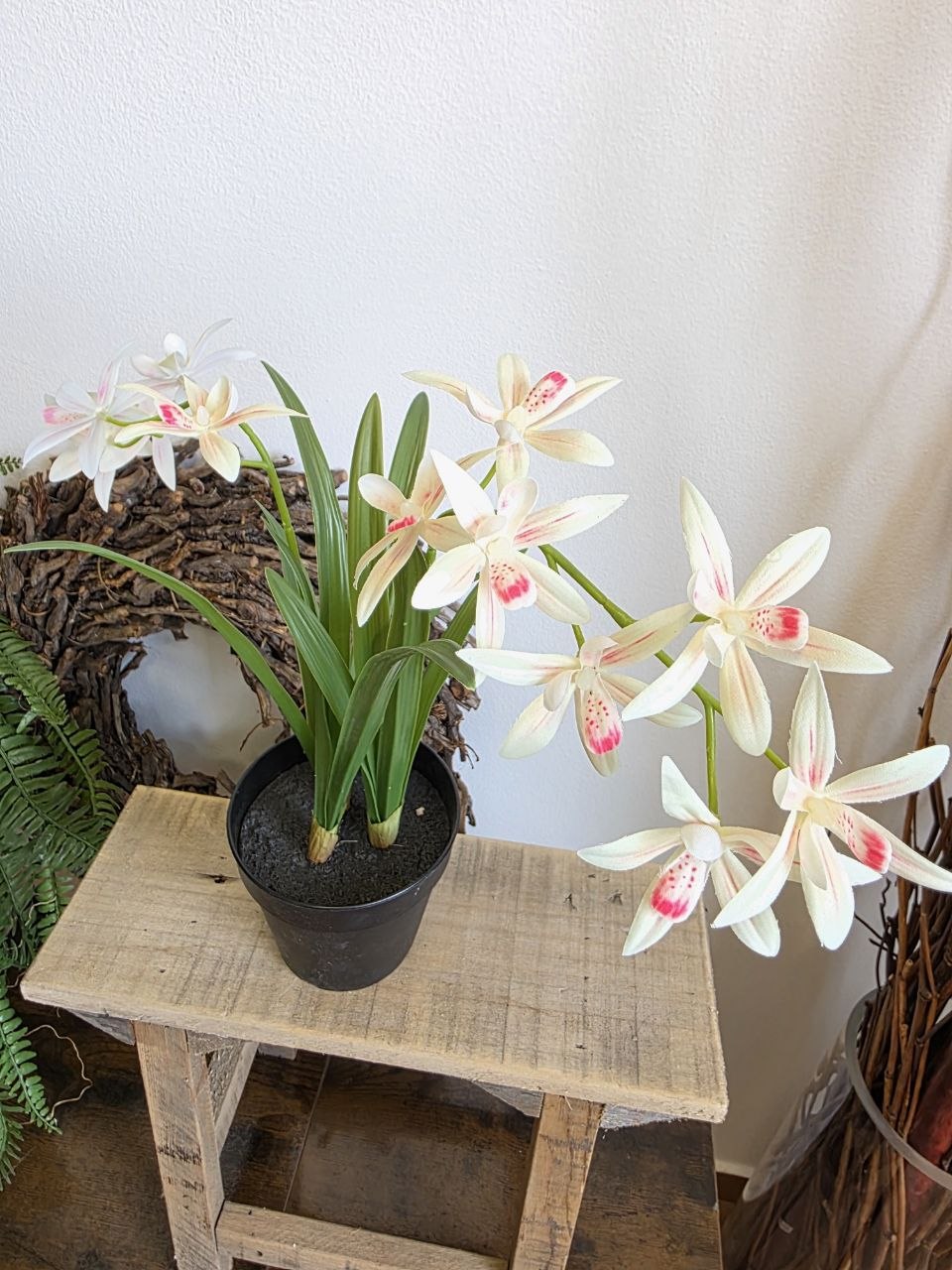 Imitace pokojová rostlina cymbidium