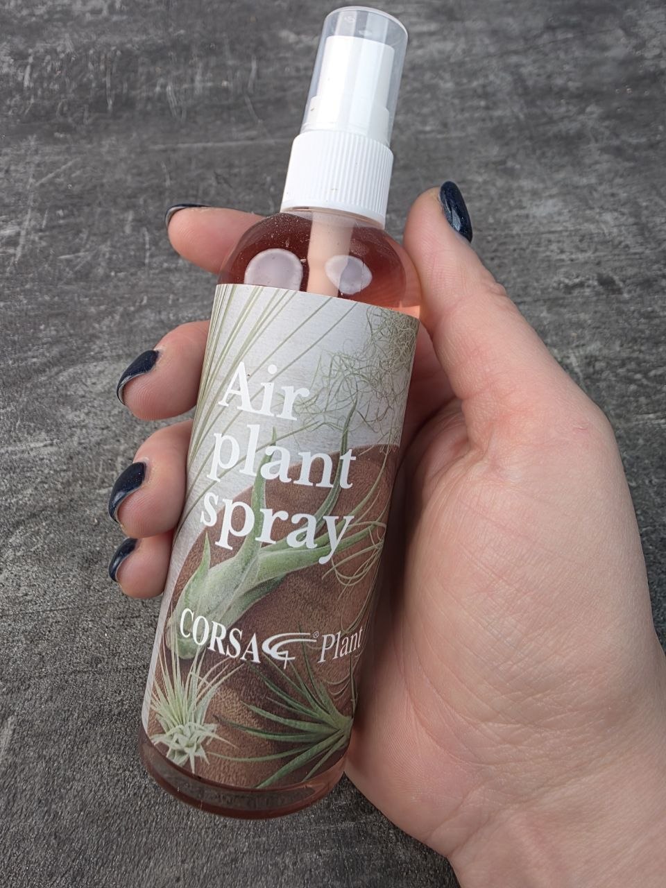 Airplant spray, výživa pro tillandsie