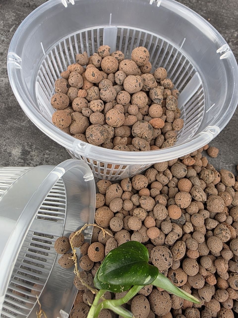 Sázecí průhledný květináč na semihydroponii 11 cm
