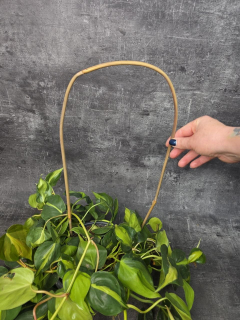 Bambusový oblouk 55 cm