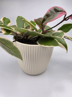 Keramický obal se strukturou proužků na průměr 14 cm