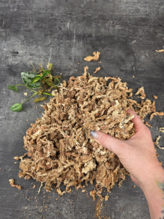 Mech - rašeliník 100 g