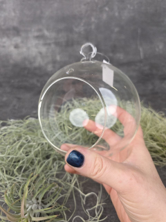 Aerárium skleněné,průměr 12 cm