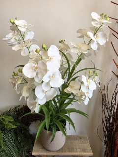 Imitace pokojová rostlina phalaenopsis luxusní